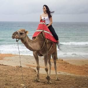 Meet your Posher, Alex